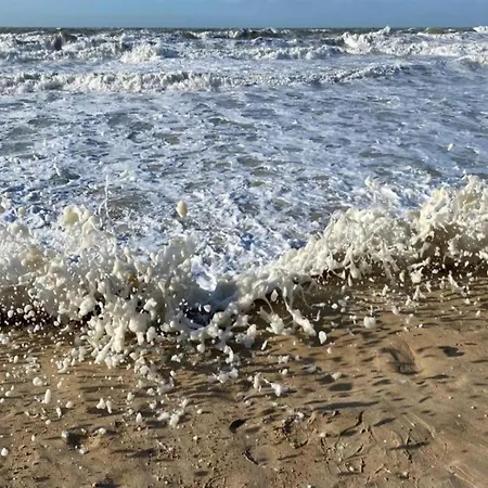 In Near The & Casino 아파트 오스텐드